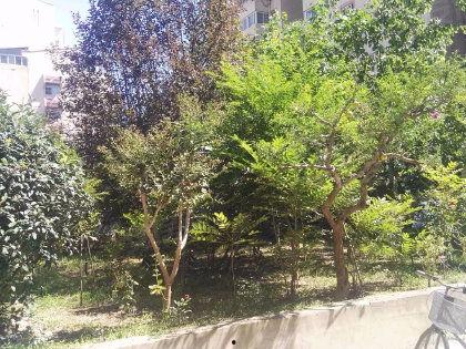 绅士吃瓜花园密码,解码神秘密码，探寻瓜界奥秘