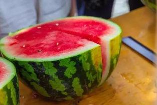 吃瓜学院卡密,解锁校园生活新乐趣