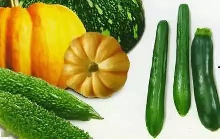 校园吃瓜在线,揭秘校园里的那些“瓜”事