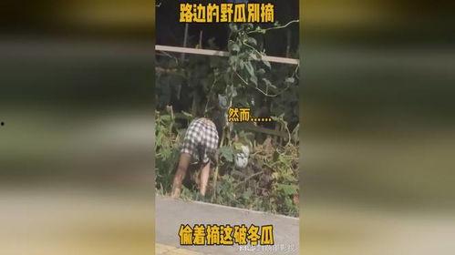 吃瓜不打野,聚焦网络舆论的理性态度