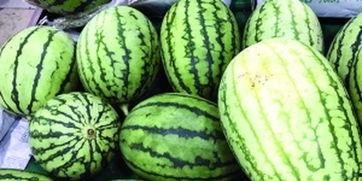 怎样快速吃瓜比赛,揭秘怎样快速吃瓜比赛的高手技巧