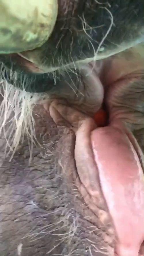 腺象体手术后可以吃瓜吗,瓜类食物的适宜摄入时间