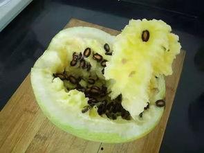 籽瓜只能摔着吃,籽瓜的独特食用之道