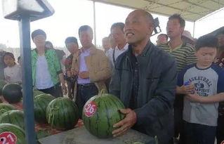 乌海的吃瓜群众