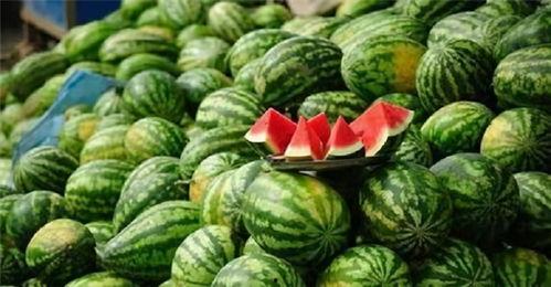 蹲瓜怎么吃,解锁美味蹲瓜新吃法