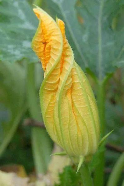 小柒柒吃瓜,揭秘娱乐圈那些不为人知的幕后故事